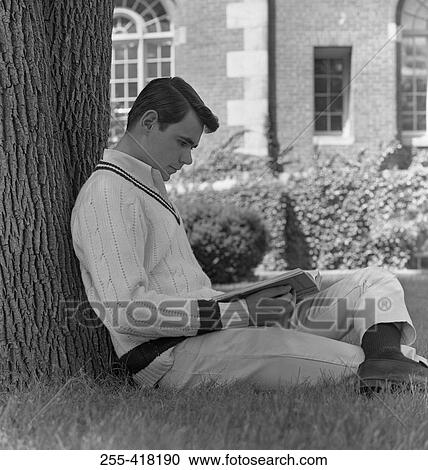 Student learning under tree View Large Photo Image Stock Image - Student learning under tree. Fotosearch