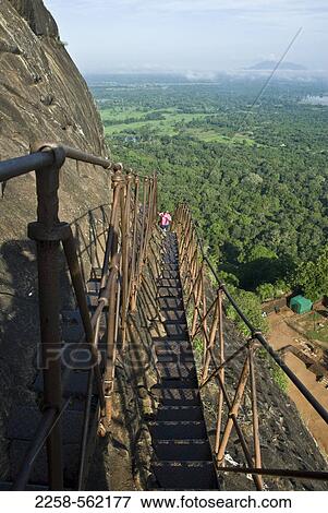 Tourist at the ruins of a fort, Sigiriya, Matale District, Sri Lanka View Large Photo Image Stock Photo - Tourist at the ruins of a fort, Sigiriya, Matale District, Sri Lanka. Fotosearch