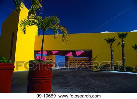 Stock Photo - Trees at an hotel, Westin Los Cabos Hotel, Cabo San Lucas, Baja California, Mexico. Fotosearch