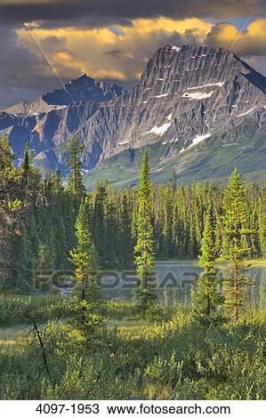 Stock Image - Trees at the lakeside with mountain in the background, Mount Fryatt, Jasper National Park, Alberta, Canada. Fotosearch