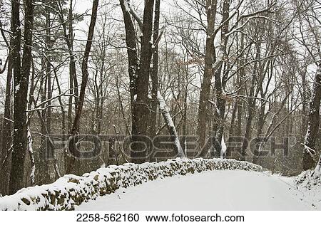 Trees covered in snow at winter View Large Photo Image Stock Image - Trees covered in snow at winter. Fotosearch