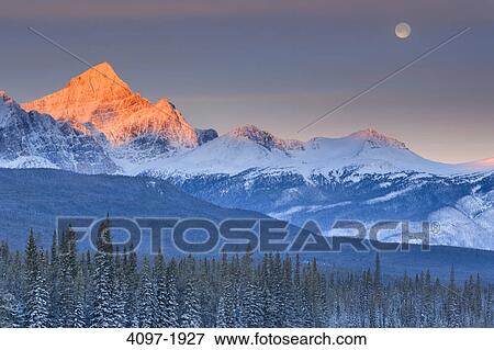 Trees in front of mountains, Athabasca River, Mount Fryatt, Jasper National Park, Alberta, Canada View Large Photo Image Stock Photo - Trees in front of mountains, Athabasca River, Mount Fryatt, Jasper National Park, Alberta, Canada. Fotosearch