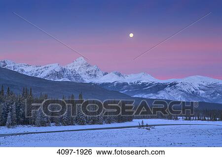 Trees in front of mountains, Athabasca River, Mount Fryatt, Jasper National Park, Alberta, Canada View Large Photo Image Stock Photograph - Trees in front of mountains, Athabasca River, Mount Fryatt, Jasper National Park, Alberta, Canada. Fotosearch