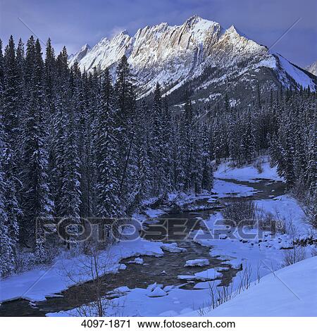 Trees in front of mountains, Maligne Range, Jasper National Park, Alberta, Canada View Large Photo Image Stock Image - Trees in front of mountains, Maligne Range, Jasper National Park, Alberta, Canada. Fotosearch
