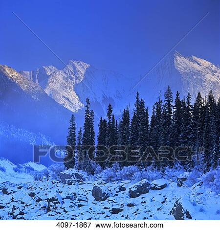Stock Photo - Trees in front of mountains, Maligne Range, Medicine Lake, Jasper National Park, Alberta, Canada. Fotosearch