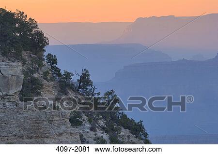 Stock Image - Trees on a rock formations, Mather Point, Grand Canyon National Park, Arizona-Utah, USA. Fotosearch