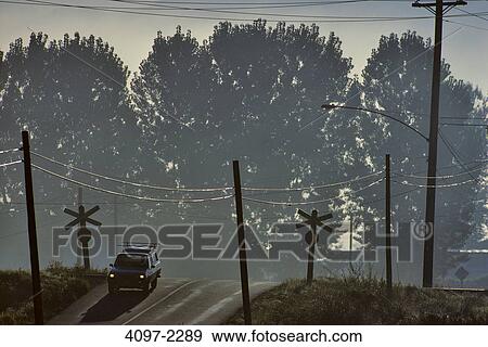 Truck crossing the railroad track, Fraser Valley, British Columbia, Canada View Large Photo Image Stock Photo - Truck crossing the railroad track, Fraser Valley, British Columbia, Canada. Fotosearch