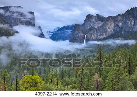 Waterfall in a forest, Bridal Veil Falls, El Capitan, Yosemite Valley, Yosemite National Park, California, USA View Large Photo Image Picture - Waterfall in a forest, Bridal Veil Falls, El Capitan, Yosemite Valley, Yosemite National Park, California, USA. Fotosearch