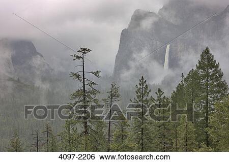 Waterfall in a forest, Bridal Veil Falls, Yosemite Valley, Yosemite National Park, California, USA View Large Photo Image Stock Photograph - Waterfall in a forest, Bridal Veil Falls, Yosemite Valley, Yosemite National Park, California, USA. Fotosearch
