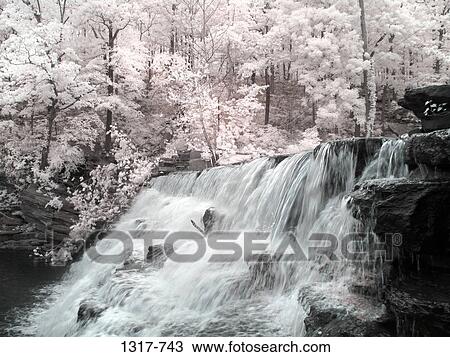 Waterfall in a forest, Devil's Den State Park, Ozark Mountains, Arkansas, USA View Large Photo Image Stock Image - Waterfall in a forest, Devil's Den State Park, Ozark Mountains, Arkansas, USA. Fotosearch