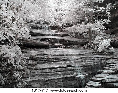 Waterfall in a forest, Liles Falls, Ozark Mountains, Arkansas, USA View Large Photo Image Stock Photo - Waterfall in a forest, Liles Falls, Ozark Mountains, Arkansas, USA. Fotosearch