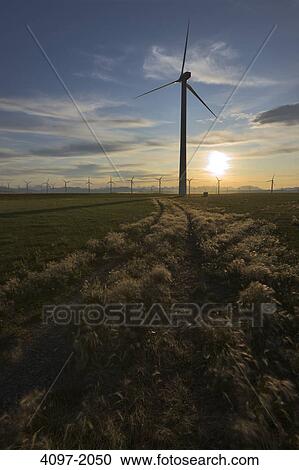 Stock Image - Wind turbines on a hill, Alberta, Canada. Fotosearch
