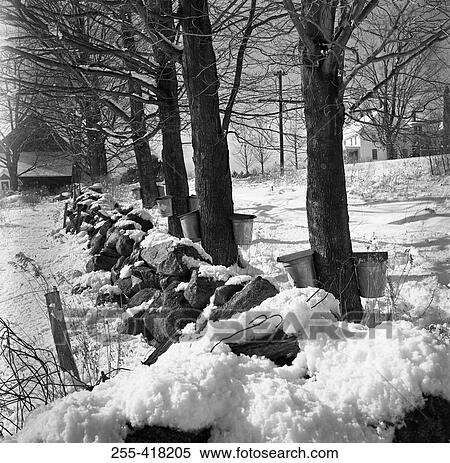 Winter landscape View Large Photo Image Stock Photography - Winter landscape. Fotosearch