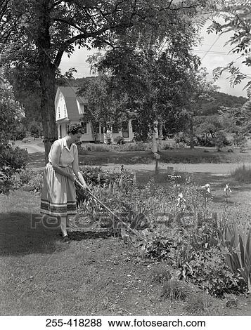 Woman working in garden View Large Photo Image Stock Photo - Woman working in garden. Fotosearch