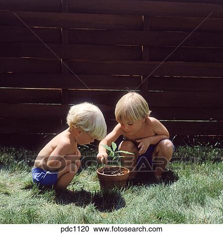 ２ 若い少年たち しゃがみこむ プレーするために で 土 中に A Potted Plant ストックイメージ Pdc11 Fotosearch