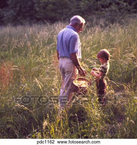 Grandfather And Grandson Picking Wheat In A Field On A Sunny Day Stock Image Pdc1162 Fotosearch