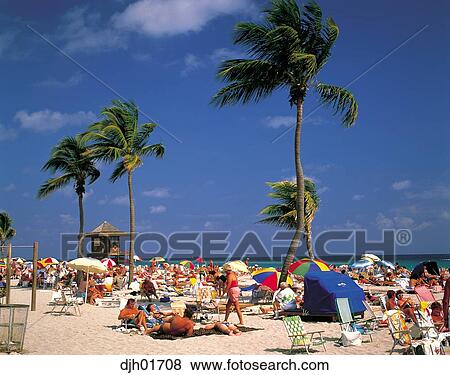 Hollywood Plage à Palmiers Floride Banque De Photo