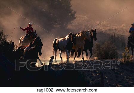 Mitfahrer, und, pferden, an, gestein, frühling, ranch, biegen, oregon