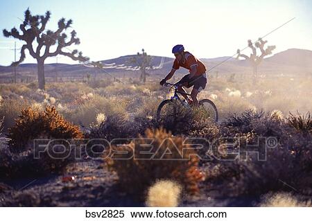 joshua tree mountain biking