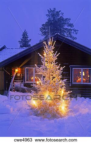 Immagini Neve E Natale.Albero Caricato Con Fresco Caduto Neve E Luci Natale Davanti Baracca Montagna Archivio Immagini Cwe4963 Fotosearch