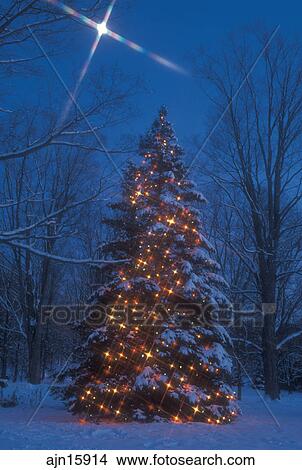 Christmas Tree Outdoor Tree Starlight Decorations