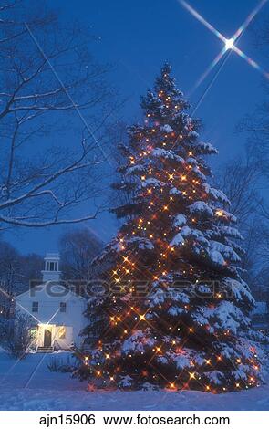 Christmas tree, tree, moon, outdoor, decoration, starlight, holiday ...