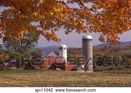 Vermont Barn Farm Colorful Fall Foliage In The Foreground Of A