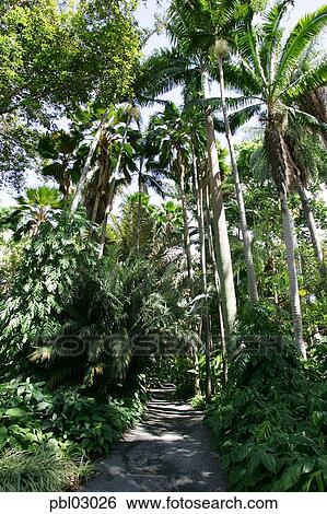 Foster Botanical Gardens Honolulu Oahu Hawaii Stock Photograph