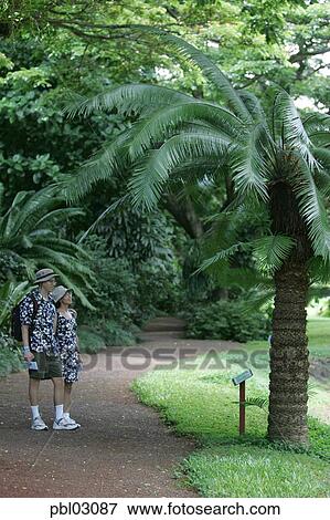 Mcbryde Garden National Tropical Botanical Gardens Kauai Hawaii
