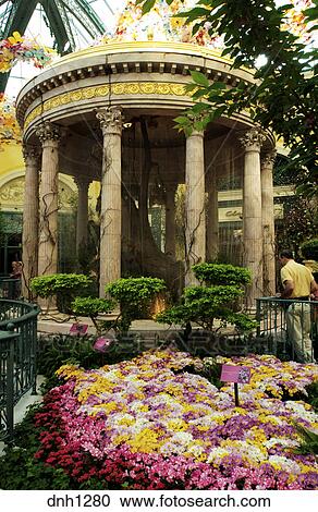 Conservatory And Botanical Gardens Inside Bellagio Hotel Las Vegas