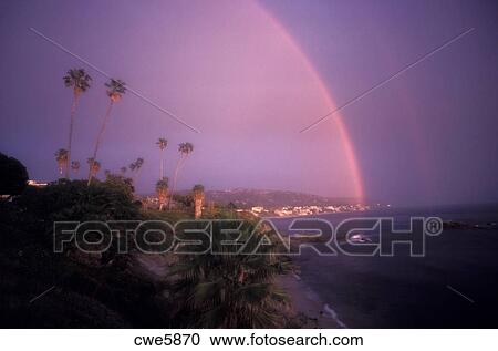 palm pals rainbow