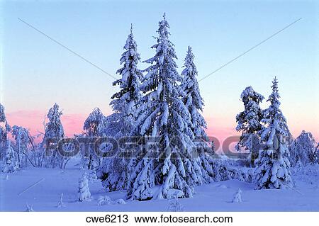 Congelato Inverno Paesaggi Di Dalarna E Varmland In Svezia Archivio Immagini Cwe6213 Fotosearch