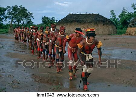 Banco de Imagem - Kuikuro, tribo, guerreiros, dança, chuva 