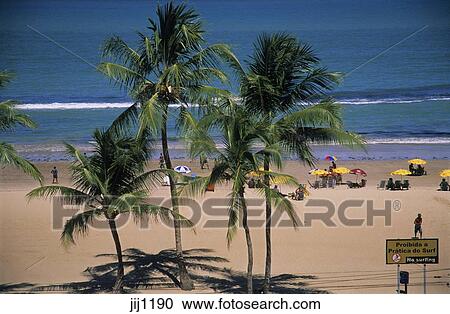 Boa Viagem Spiaggia Con Bilingue Portoghese Inglese Segno Detto No Surfing Recife Pernambuco Brasile Archivio Immagini