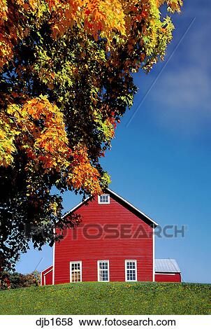 Red Barn Blue Sky Fall Leaves Stock Photo Djb1658 Fotosearch