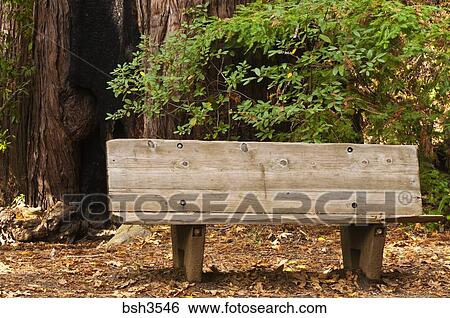 Bench On The Pfeiffer Falls Trail Pfeiffer Big Sur State Park