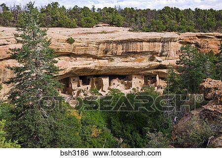 Spruce Tree House Ruin Mesa Verde National Park Colorado Stock