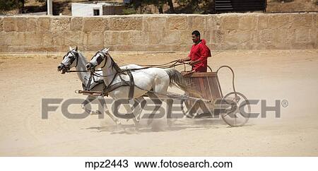 ローマ人 二輪戦車 レース Jerash ヨルダン ストックイメージ Mpz2443 Fotosearch