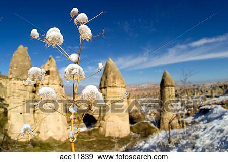 Yayinlama Yuzunden Peri Bacalar Icinde Cappadocia Hindi