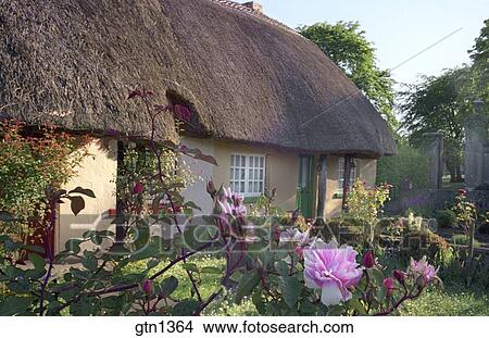 Medium Close Up Of A Thatched Cottage In Adare Ireland Picture
