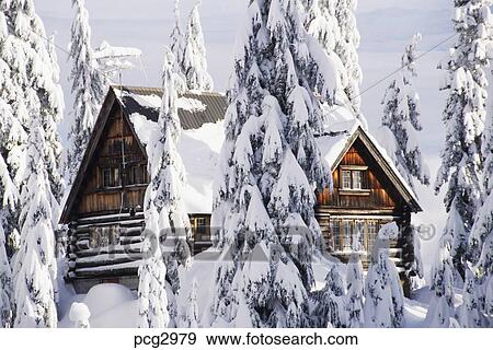 Snow Covered Cabin In Seymour Provincial Park Bc Canada Stock