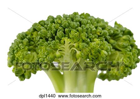 野菜 ワンピース 緑 ブロッコリー で 白い背景 ストックイメージ Dpl1440 Fotosearch