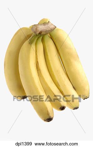 Five Photographs Of Banana In Seach Of >> Stock Photograph Of Fruit One Yellow Banana Bunch Five Pieces With Five Photographs Of Banana In Seach Of >> Stock Photograph Of Fruit One Yellow Banana Bunch Five Pieces With