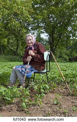 Viejo, mujer campesina, con, un, bastón, trabajando, en, papa, campo