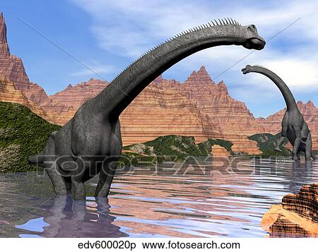 ２ Brachiosaurus 恐竜 中に 水 そうする次の 人 もの 赤い岩 山 イラスト Edv6000p Fotosearch