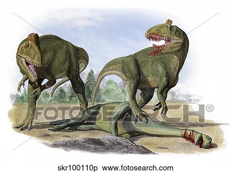 ２ Cryolophosaurus Ellioti 恐竜 戦い 上に A 死んだ Prosauropod イラスト Skrp Fotosearch