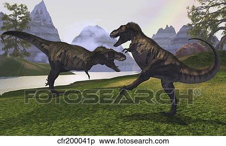 ２ Tyrannosaurus の Rex 恐竜 戦い ために 権利 の A Territory イラスト Cfr0041p Fotosearch