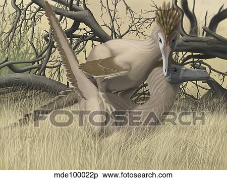 ２ Velociraptor S の間 交尾 Season イラスト Mdep Fotosearch