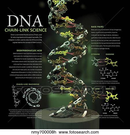 Drawing - 3D poster illustration of DNA components functionally compared to a chain link.. Fotosearch