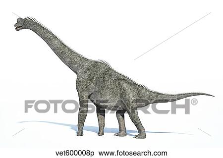 Stock Illustration - 3D rendering of a Brachiosaurus dinosaur.. Fotosearch